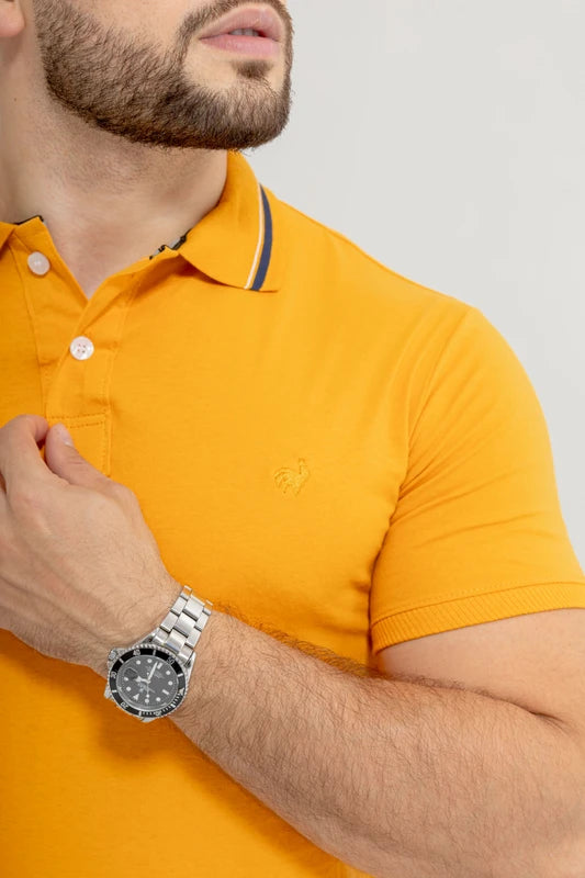 camisa de trabalho

camisa elegante

camisa social

camisa bonita

Nobreza Brasil